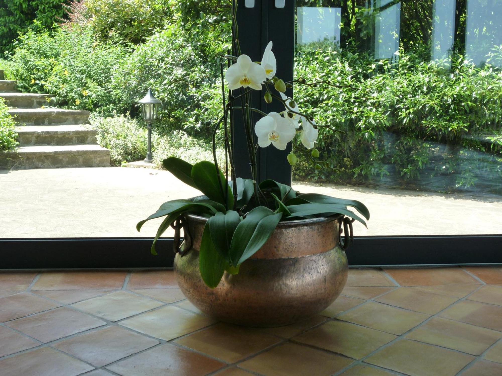 Country House Barone D'Asolo Exterior foto